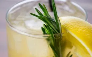 Drink with lemon and garnish
